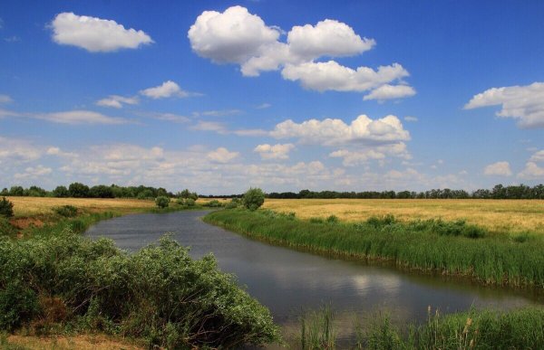 Природа Донского края Волгодонск