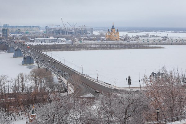 Алексей Сычев художник Нижний Новгород картины