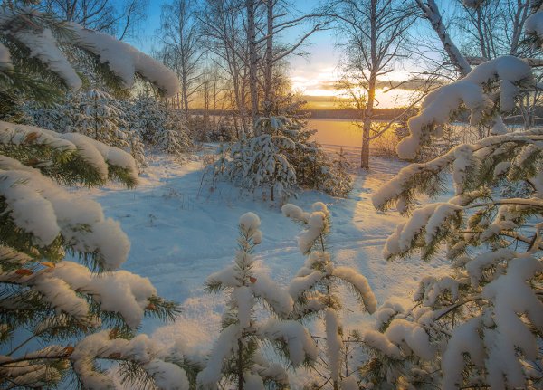 Зима декабрь