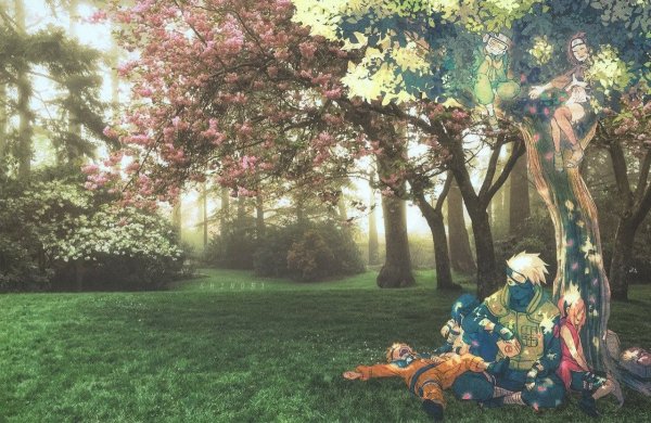 Лес аниме Наруто