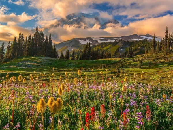 Альпийские Луга в Башкирии