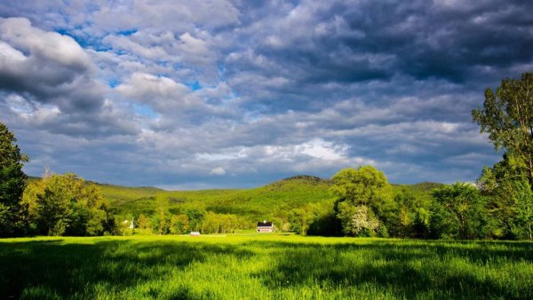 Лес Поляна небо