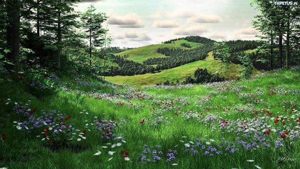 Лесная Поляна (Полянка) 1897