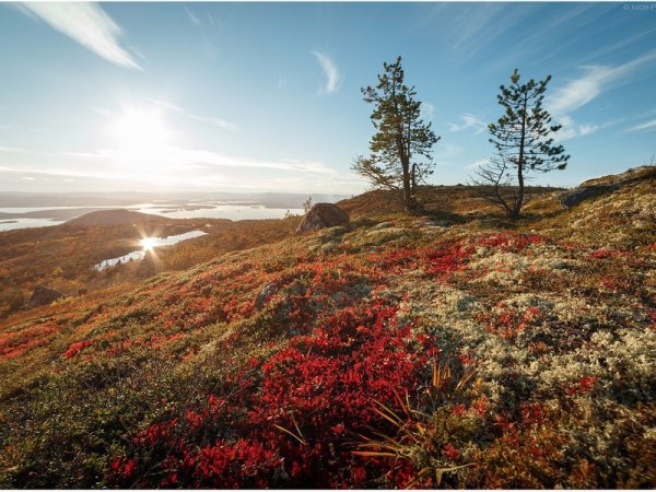 Сопки Кольского полуострова