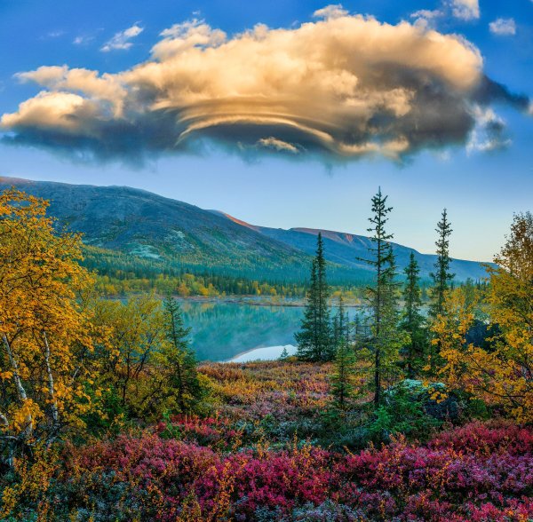 Северная природа Кольский полуостров