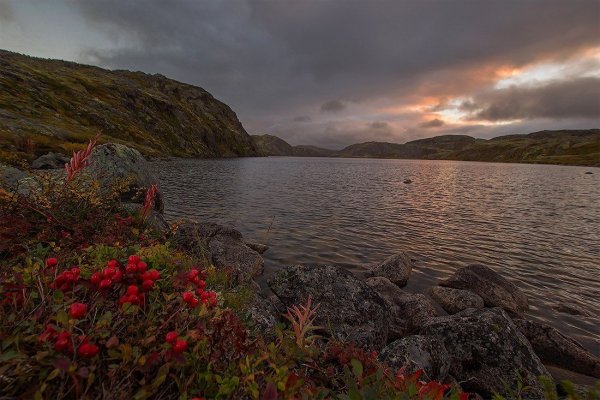 Природа Кольского полуострова