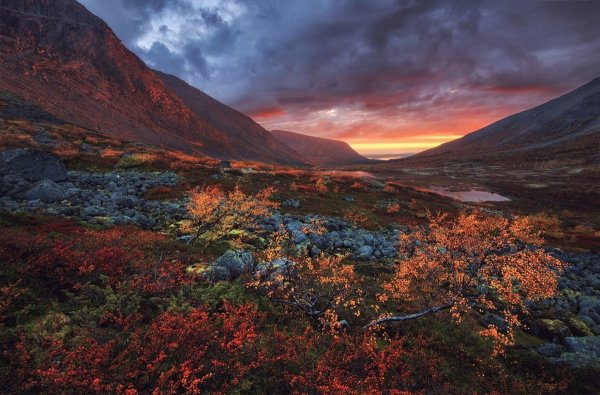 Кольский полуостров Хибины тундры