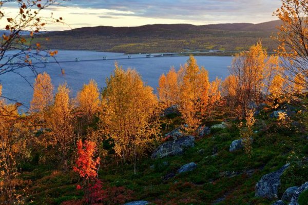 Природа Мурманской области с сопками