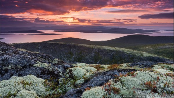 Сопки, тундра Кольский полуостров лето