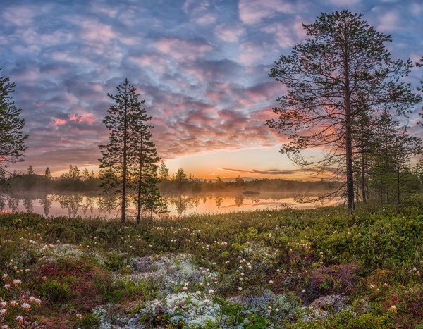 Природа на севере Архангельск