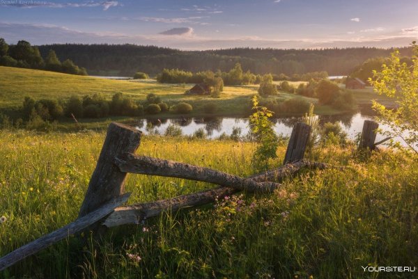 Церковь Иоанна Златоуста в Саунино