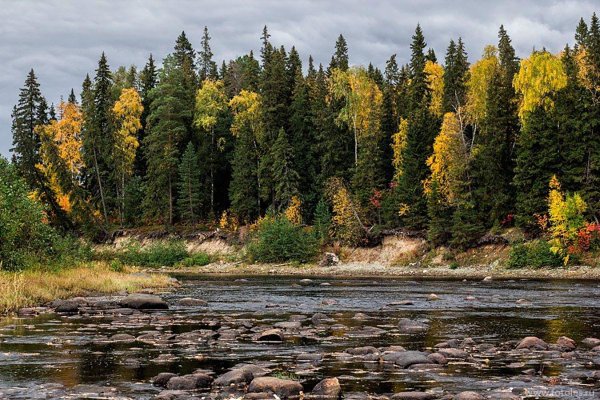 Деревня Вершинино Кенозерский национальный парк