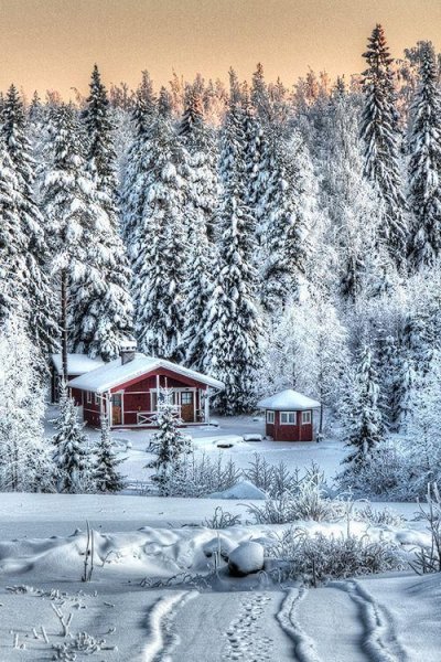 Зимние сюжеты