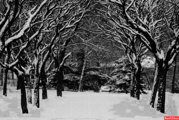 Зимнийпейзаж в крафике