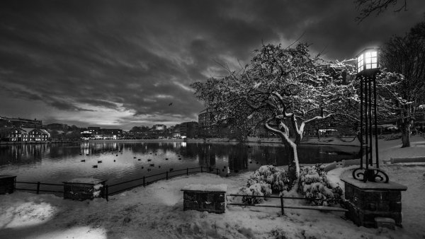 Черно белый пейзаж ночь