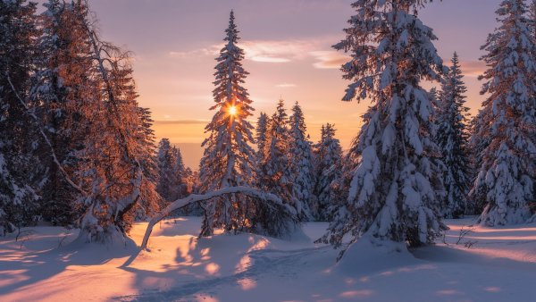 Красивая зима