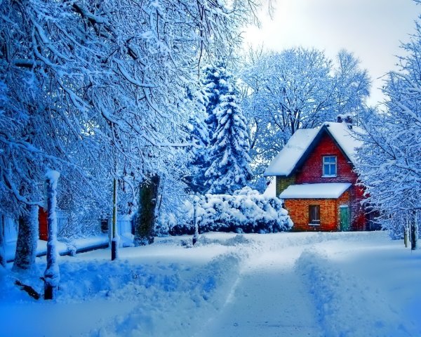 Зимний пейзаж