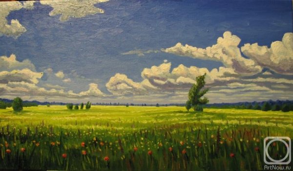 Бежин луг июльский день