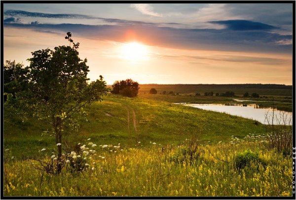 Пейзаж Бежин луг Тургенева