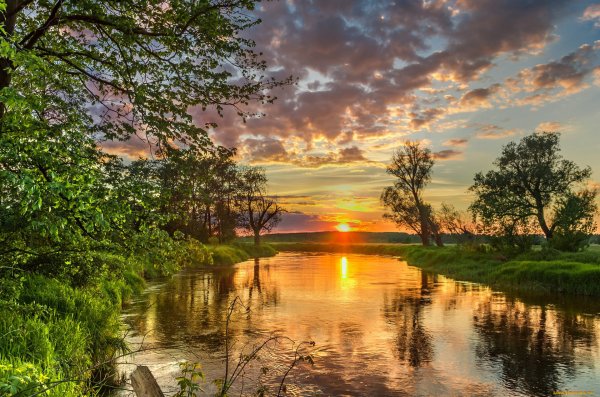 Пейзаж рассвет