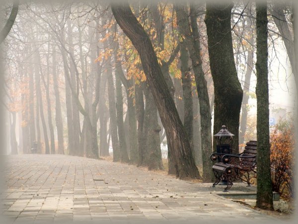 Ставрополь осенью центр