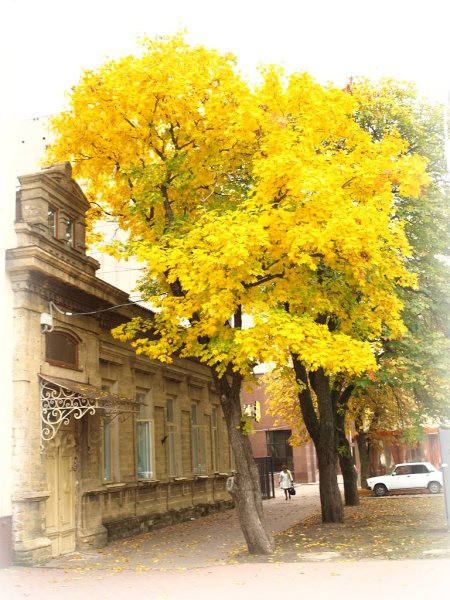 Золотая осень Пятигорск