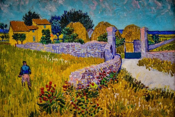 Ван Гог вид на Арль с ирисами