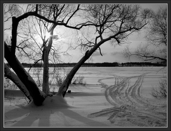 Картина зима черно белая