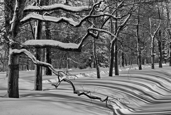 Зимний пейзаж Графика