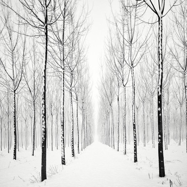 Белый пейзаж