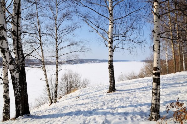 Природа зима средняя полоса