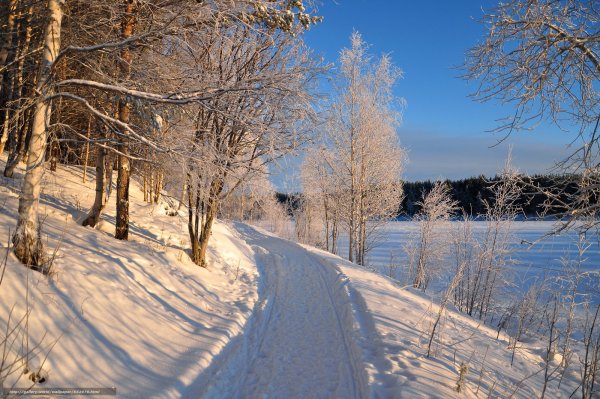 Зимние пейзажи средней полосы России