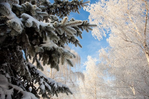 Пейзажи России зима