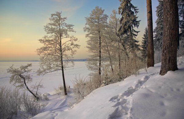 Зимние пейзажи средней полосы России