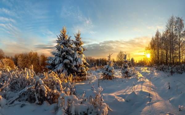 Зимние пейзажи средней полосы России