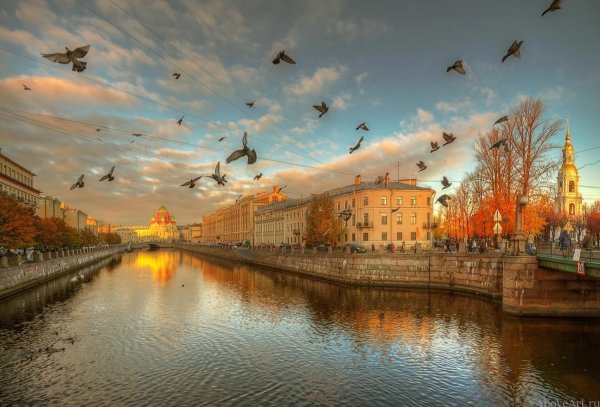 Эдуард Гордеев Петербург