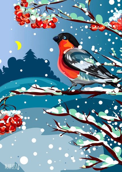 Снегирь акварель