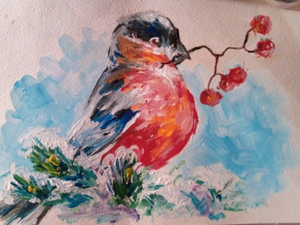 Свиристель картина живопись акварель