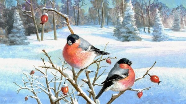 Снегири на ветке живопись