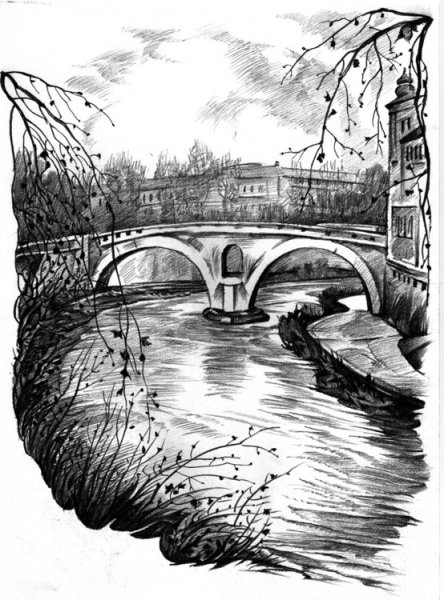 Пейзаж в графике черной ручкой