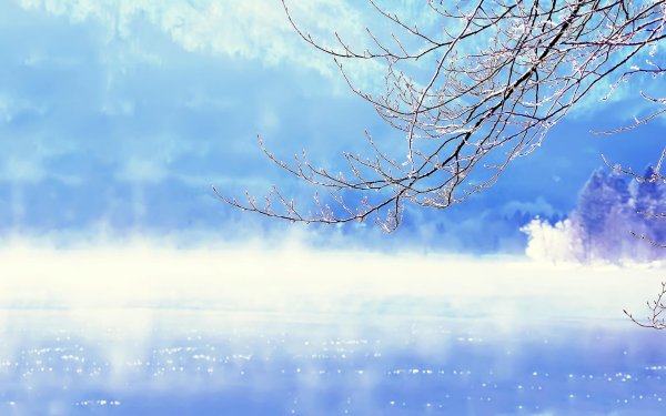 Зимнее небо