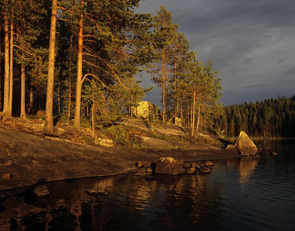 Кемь-Лудский участок Кандалакшского заповедника