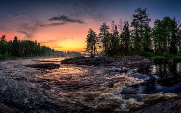 Таежный лес Карелии