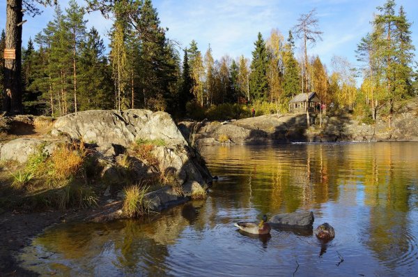 Рускеальские водопады осенью