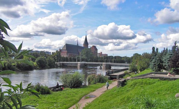 Город Калининград природа