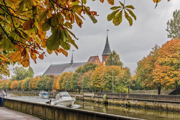 Остров Канта Калининград осень