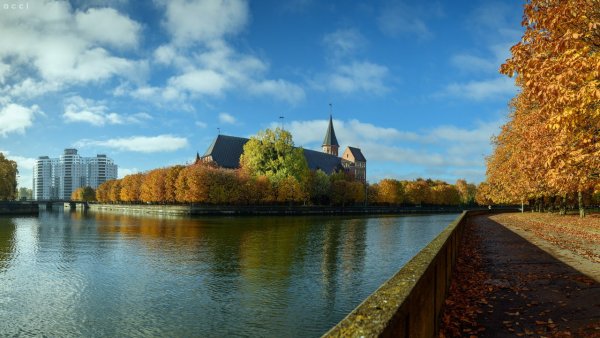 Остров Канта в Калининграде