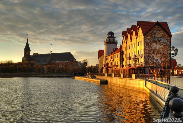 Остров Канта в Калининграде