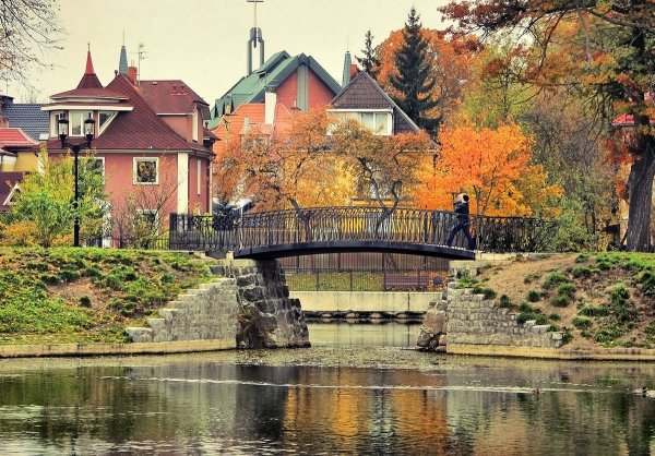 Калининград кафедральный собор осенью