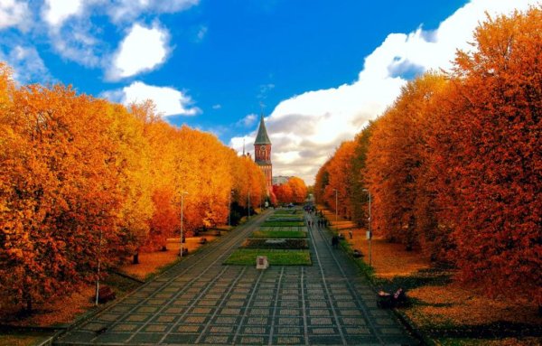 Кенигсберг Калининград осенью